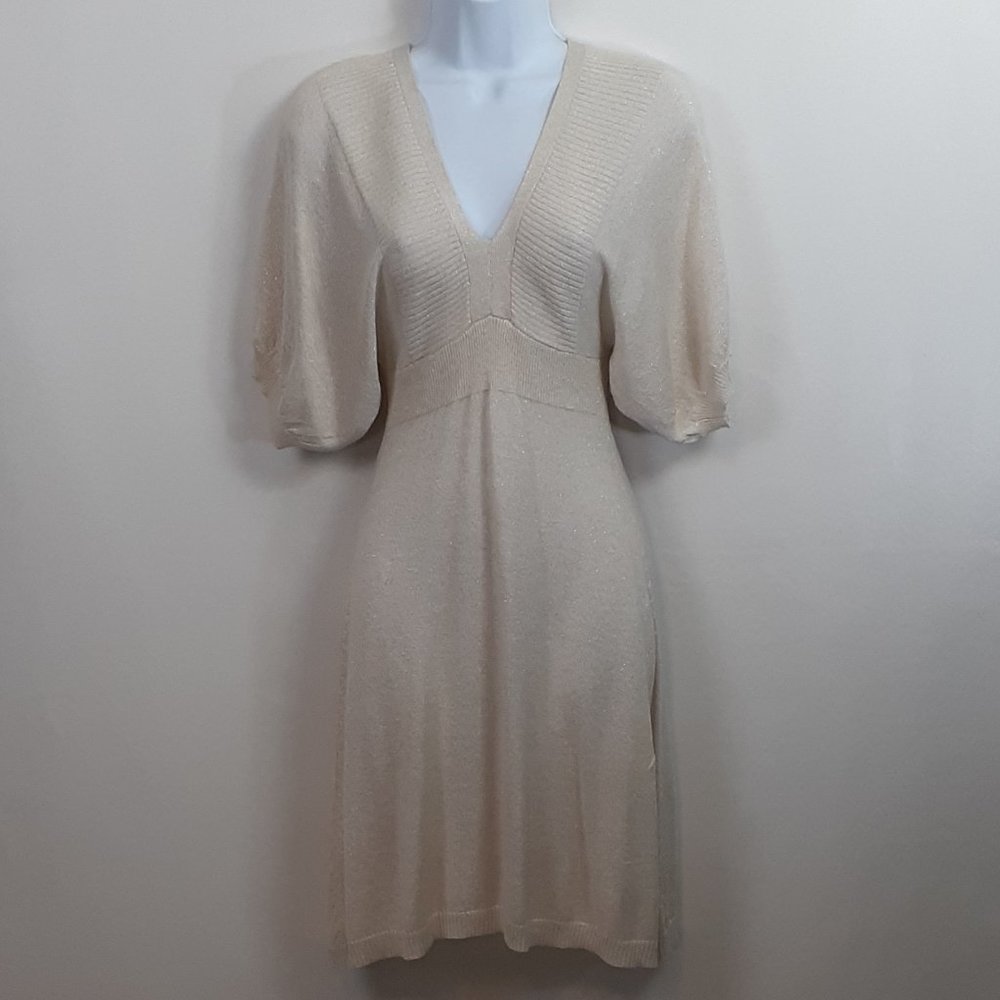 Express Knit Shimmer Dress